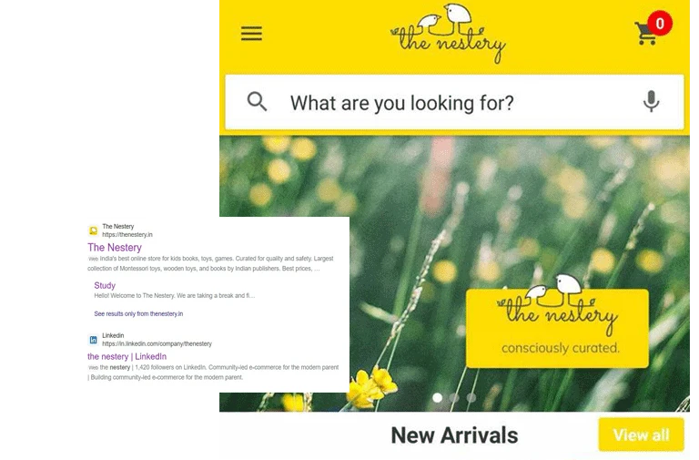 The Nestery SEO Case Study