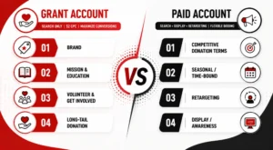 NGO Accounts