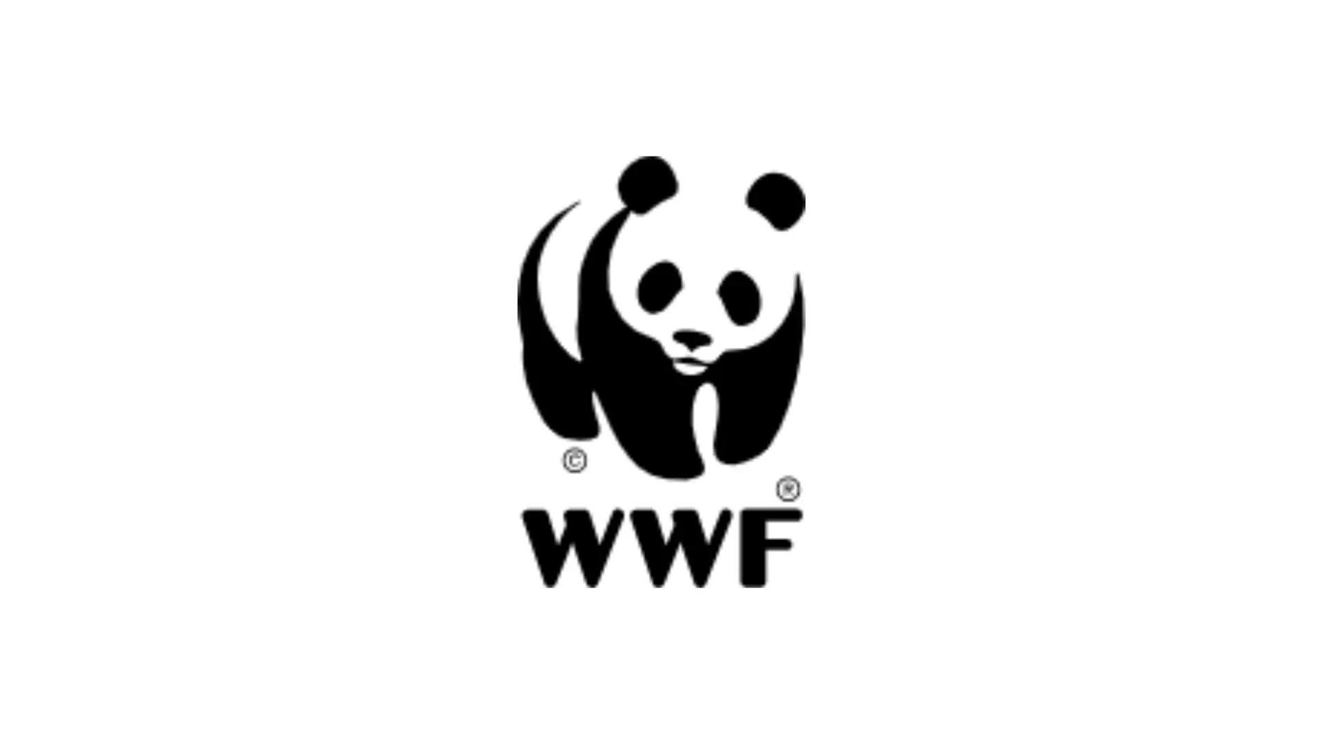 World Wildlife Fund homepage screenshot